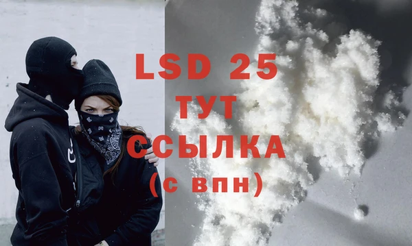 хмурый Алзамай